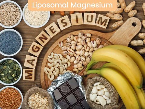 Unleashing the Benefits of Liposomal Magnesium: A Comprehensive Guide