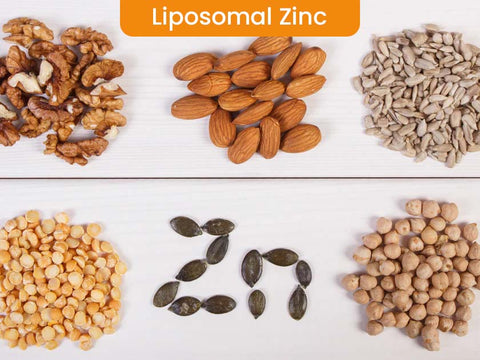 Unlocking the Benefits of Liposomal Zinc: A Comprehensive Guide