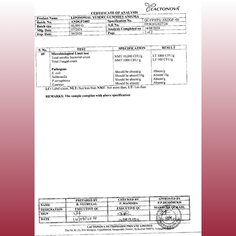 Avenzes Liposomal Yummy Gummies Anigma (Immunity Booster)