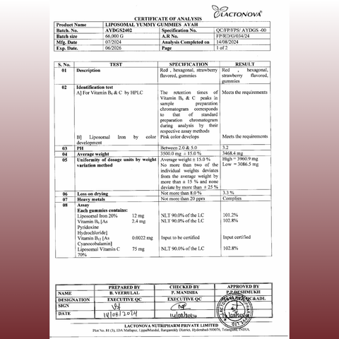 Avenzes Liposomal Yummy Gummies Ayah (Iron)