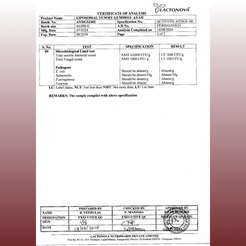 Avenzes Liposomal Yummy Gummies Ayah (Iron)